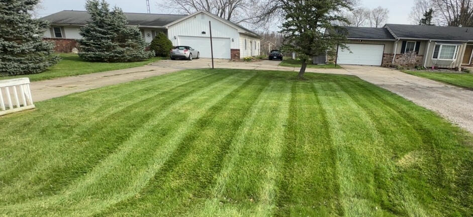 Lawn 1